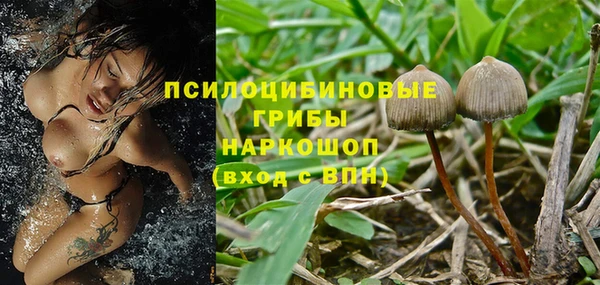 ALPHA-PVP Покров