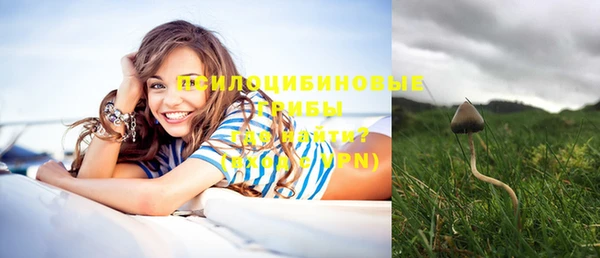 прущие крисы Пестово