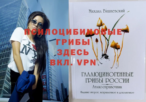 COCAINE Переславль-Залесский